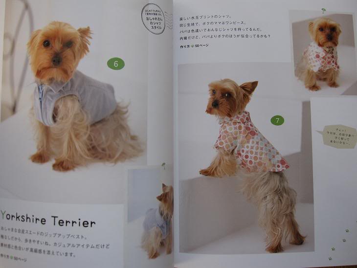 DOG Clothes for All Seasons